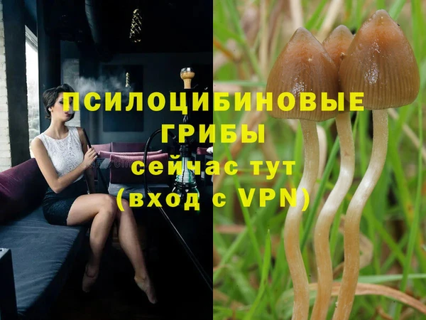 хмурый Алексеевка