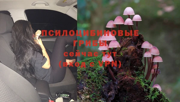 марихуана Абинск